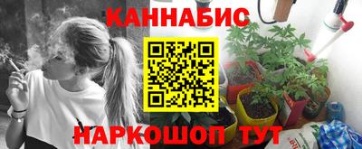 гашик Заводоуковск