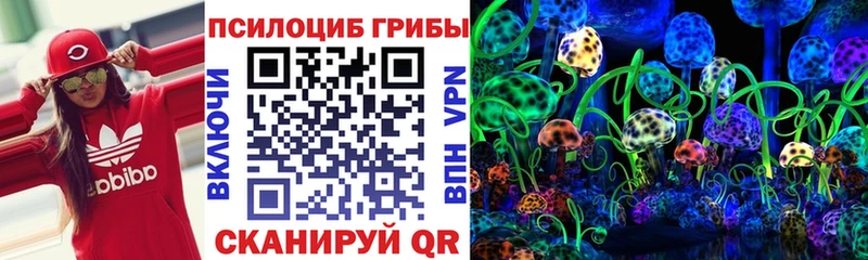 Псилоцибиновые грибы Magic Shrooms Краснознаменск