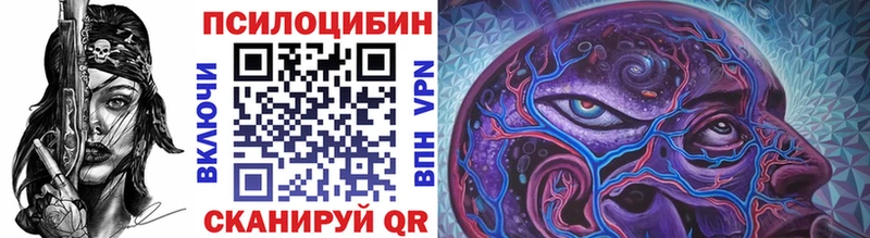 где купить Краснознаменск KRAKEN ССЫЛКА Псилоцибиновые грибы прущие грибы