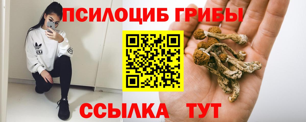 Галлюциногенные грибы Cubensis  Вход с VPN  Галлюциногенные грибы ЛСД  Краснознаменск 